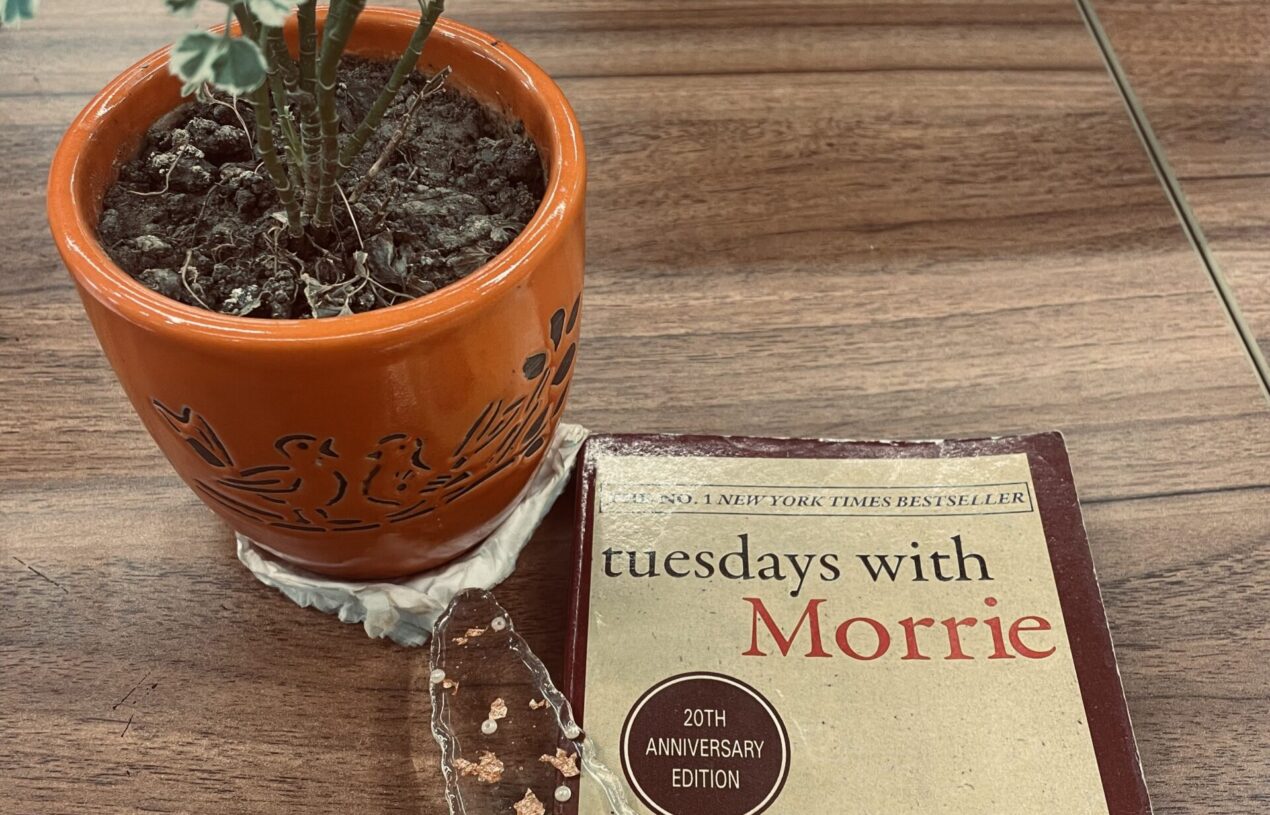 Tuesdays With Morrie- Mitch Albom